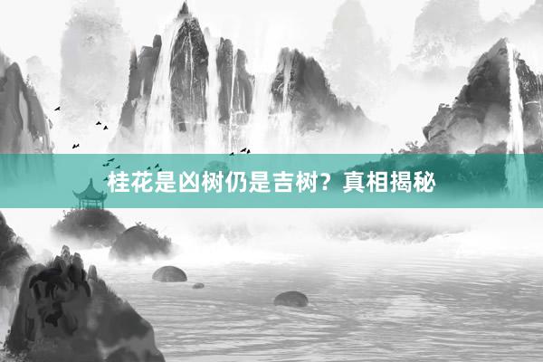 桂花是凶树仍是吉树？真相揭秘