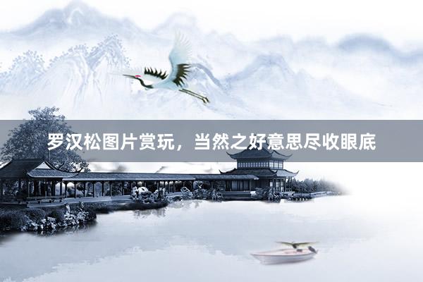 罗汉松图片赏玩，当然之好意思尽收眼底