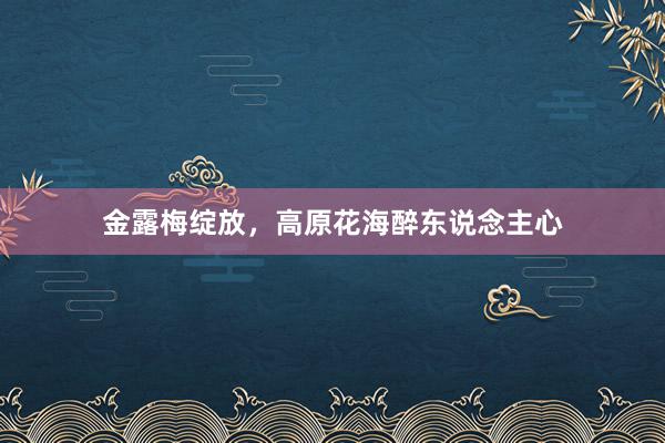 金露梅绽放，高原花海醉东说念主心