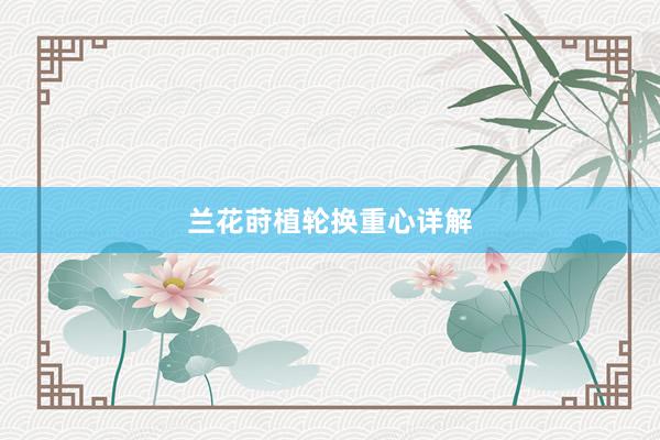 兰花莳植轮换重心详解