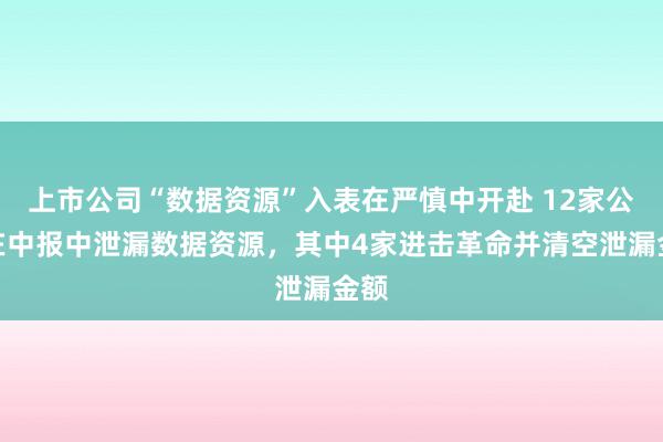 上市公司“数据资源”入表在严慎中开赴 12家公司在中报中泄漏数据资源，其中4家进击革命并清空泄漏金额