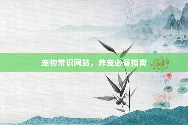宠物常识网站，养宠必备指南