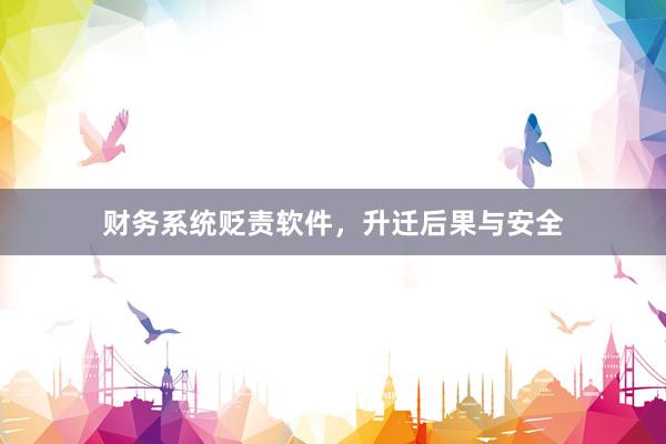 财务系统贬责软件，升迁后果与安全