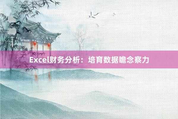Excel财务分析：培育数据瞻念察力